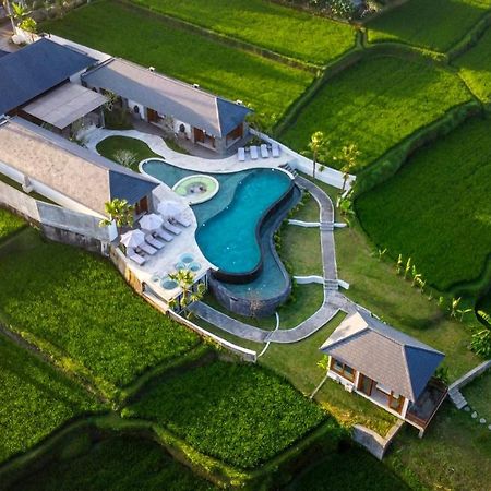 Villa Paradise By Balisuperhost Ubud Zewnętrze zdjęcie