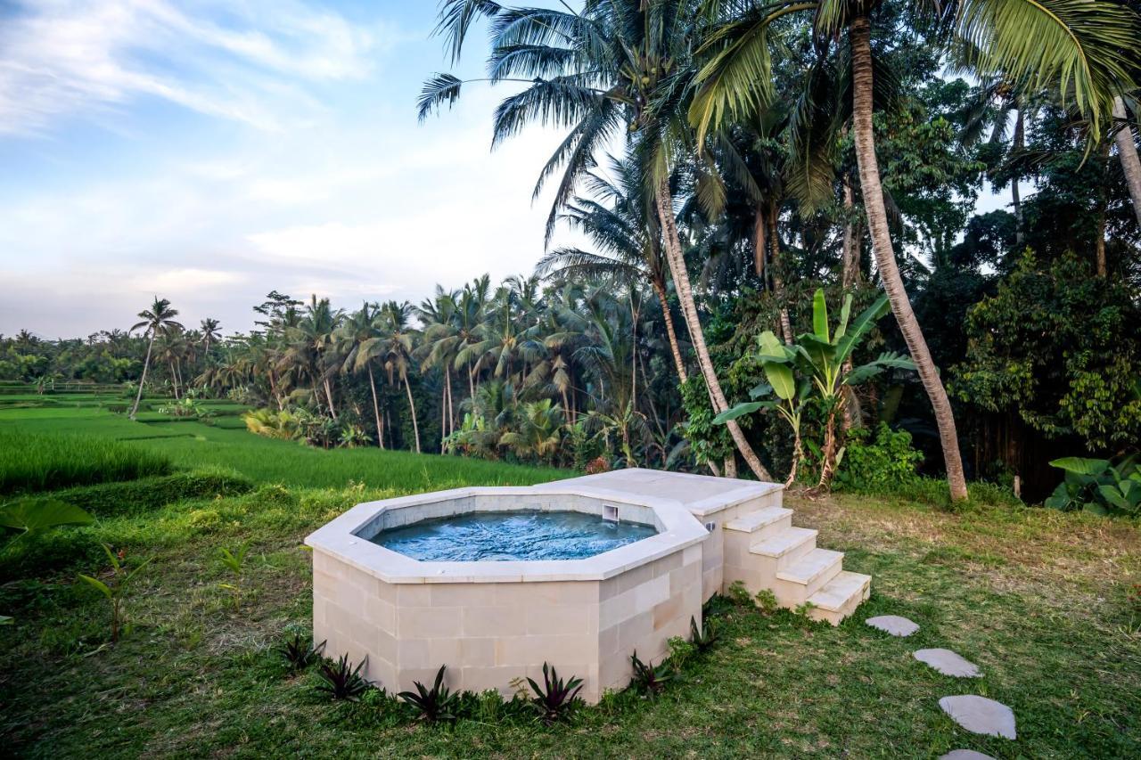 Villa Paradise By Balisuperhost Ubud Zewnętrze zdjęcie